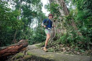 BIB: 
                            <button type="button" onclick="openModal(24809602)" class="btn btn-primary btn-sm float-right btn-popup" data-toggle="modal" data-target=".modal-high-quality">
                        <i class="fas fa-shopping-cart"></i> Add to Cart
                    </button>
                                            <button type="button" onclick="isThisMe(24809602, true)" class="btn btn-success btn-sm float-right btn-popup btn-isme hidden" data-toggle="tooltip" data-placement="bottom" title="นี่คือรูปของคุณใช่ไหม คลิกที่นี่เพื่อเอาเข้าอัลบั้ม">
                        <i class="fas fa-plus"></i> Add to album
                    </button>
                    <button type="button" onclick="isThisMe(24809602, false)" class="btn btn-warning btn-sm float-right btn-popup btn-isnotme hidden">
                        <i class="fas fa-ban"></i> Remove from album
                    </button>